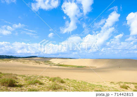 鳥取砂丘 71442815