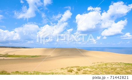 鳥取砂丘 71442821