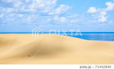 鳥取砂丘 71442840