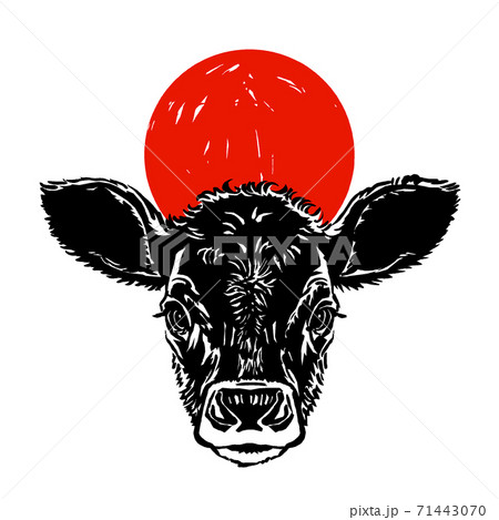 黒毛牛の仔牛の頭越しに日の出　筆描き・墨と赤 71443070