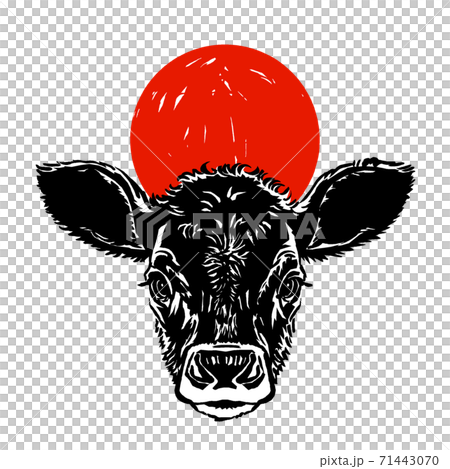 黒毛牛の仔牛の頭越しに日の出　筆描き・墨と赤 71443070