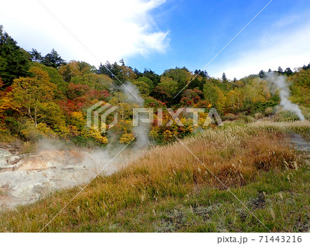 湯けむり漂う紅葉のふけの湯温泉 71443216