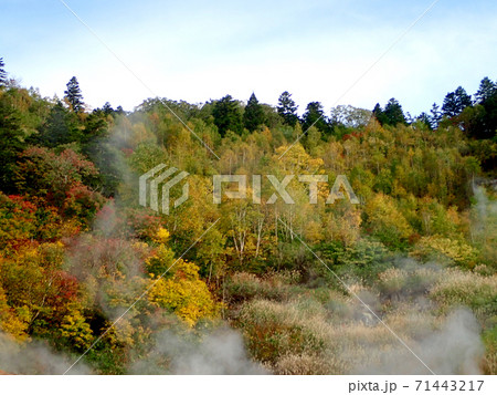 湯けむり漂う紅葉のふけの湯温泉 湯けむり漂う紅葉のふけの湯温泉 71443217