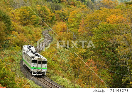 紅葉する常紋峠を行く普通列車 71443273