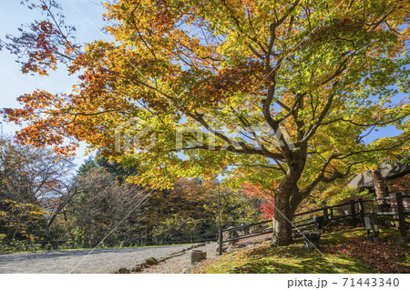 忠治館05 71443340