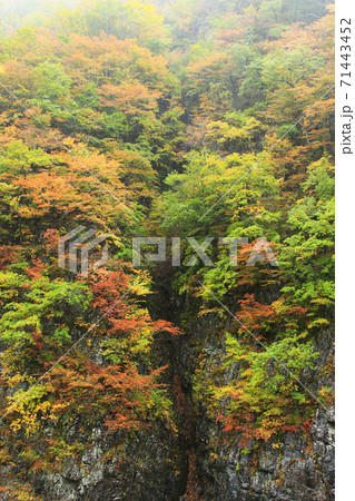 秋山郷　紅葉 71443452
