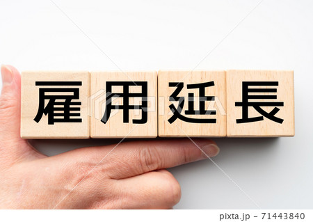 イメージ　雇用延長 71443840