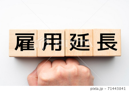 イメージ　雇用延長 71443841