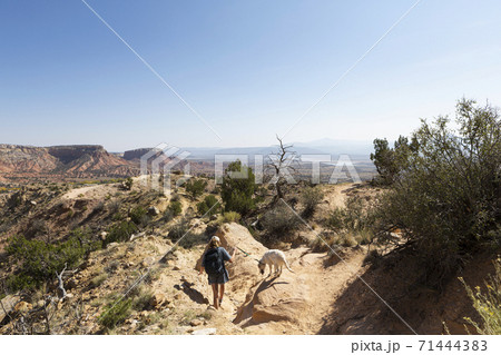 Teenage girl and her retriever dog hiking on a trail through a protected canyon landscape 71444383