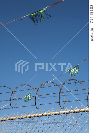Metal fence, barbed wire, razor wire and glittery green streamers Metal fence, barbed wire, razor wire and glittery green streamers 71445102