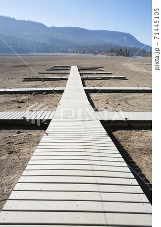 Boardwalk on a dry desert, wooden planks Boardwalk on a dry desert, wooden planks 71445105