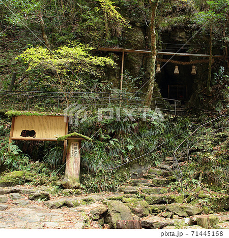 赤目四十八滝 三重県 紅葉 赤目四十八滝 三重県 紅葉 71445168