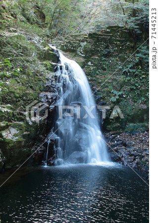 赤目四十八滝 三重県 紅葉 赤目四十八滝 三重県 紅葉 71445213