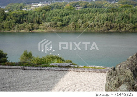 枯山水 枯山水 71445825