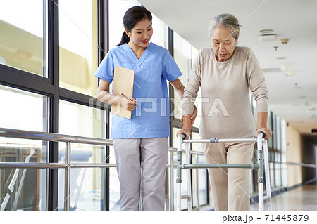 young asian physical therapist working with senior woman on walking with a walker 71445879