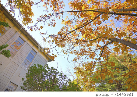 あがたの森公園（旧松本高校本館） 71445931