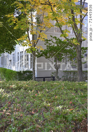 あがたの森公園（旧松本高校本館） 71445936