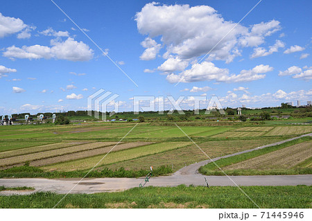 荒川河川敷 秋ヶ瀬取水堰付近 71445946