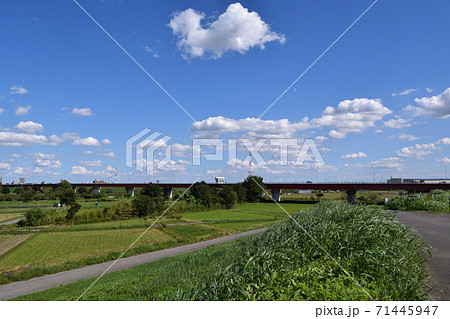 荒川河川敷 秋ヶ瀬橋方面 荒川河川敷 秋ヶ瀬橋方面 71445947