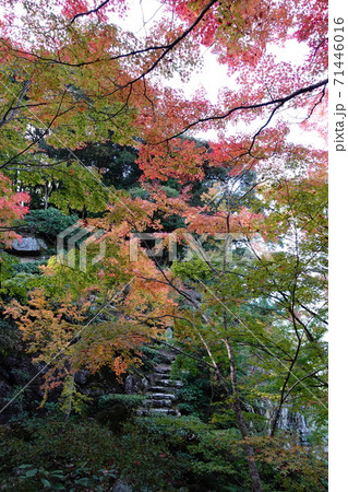 本楽寺の秋 71446016