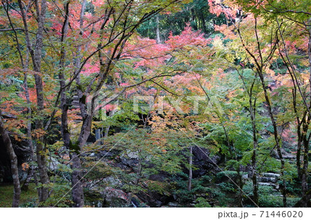 本楽寺の秋 71446020