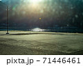 逆光が眩しい漁港 71446461