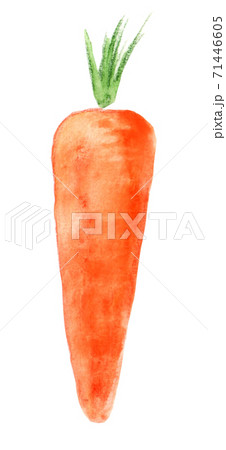 ニンジン イラストのイラスト素材