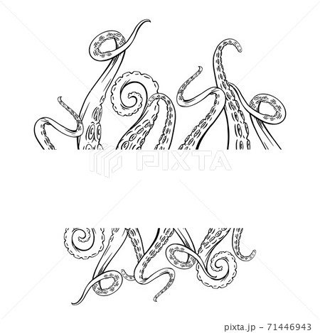 Frame with black and white sketches octopus tentacles and place for text. Creepy limbs of marine inhabitants. Vector template Frame with black and white sketches octopus tentacles and place for text. Creepy limbs of marine inhabitants. Vector template 71446943