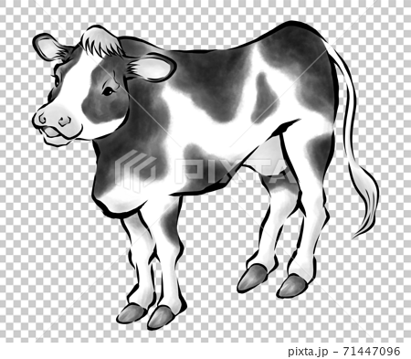 牛の墨絵イラスト 年賀素材 21 丑年 モノクロ のイラスト素材