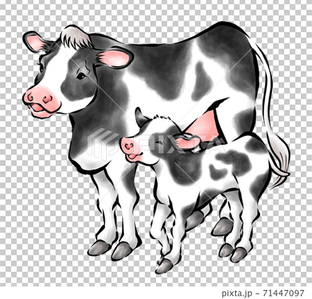 Cow parent and child sumi painting illustration New Year's material 2021 Ox year 71447097
