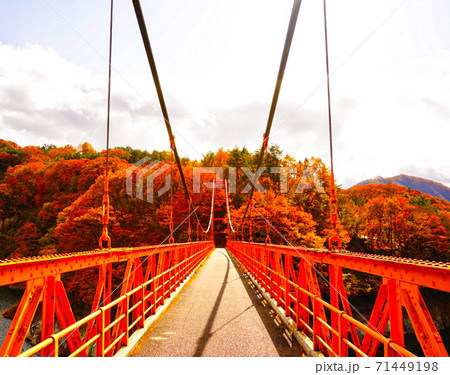 橋 紅葉 オレンジ 建築 71449198