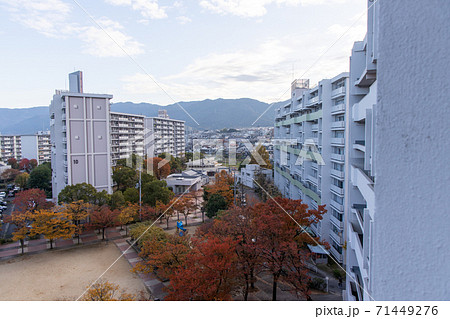 UR醍醐石田団地の風景 71449276