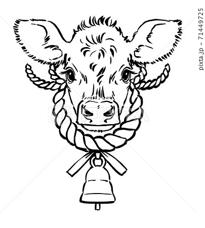 注連飾り仕様のカウベルを付けたジャージー牛の仔牛の顔 筆描き 線画のイラスト素材 71449725 Pixta