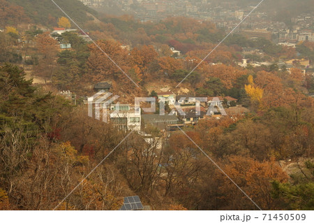 秋 紅葉 山 71450509