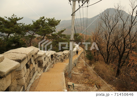 石 スポット 木 71450646