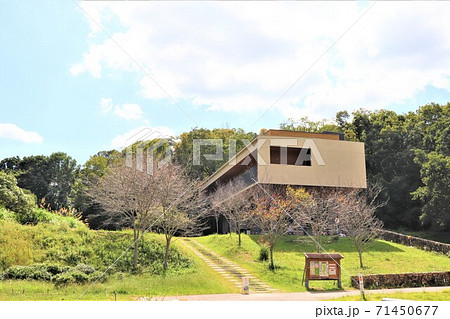 堺自然ふれあいの森 堺自然ふれあいの森 71450677