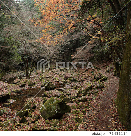 赤目四十八滝　紅葉 71451114
