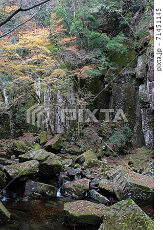 赤目四十八滝　紅葉 71451145