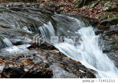 赤目四十八滝 紅葉 赤目四十八滝 紅葉 71451211