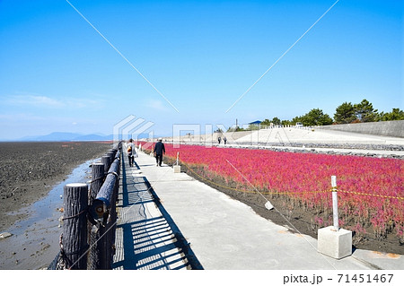 佐賀市　東よか干潟の風景 71451467