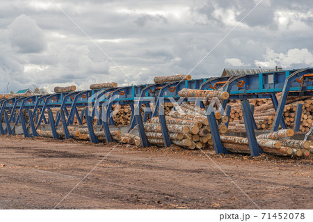 Automated log sorting line. Production of timber from wood. Woodworking. Machining logs. The logs in the sawmill are moving along a conveyor belt 71452078