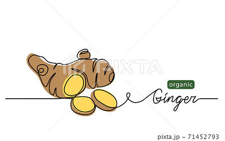 Ginger vector illustration. One line drawing art illustration with lettering organic ginger 71452793