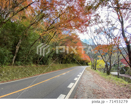 紅葉のトンネル 深耶馬渓ひさしもみじの写真素材