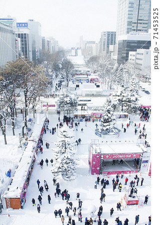 さっぽろテレビ塔から見たさっぽろ雪祭り会場（2020年） 71453525