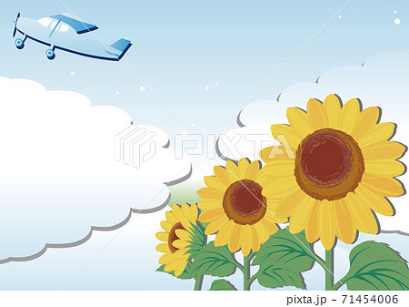 夏 風景 背景 青空 ひまわり 飛行機 コピースペース 背景 イラストのイラスト素材
