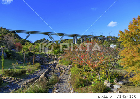 明石海峡公園 紅葉と秋の花々 明石海峡公園 紅葉と秋の花々 71454150