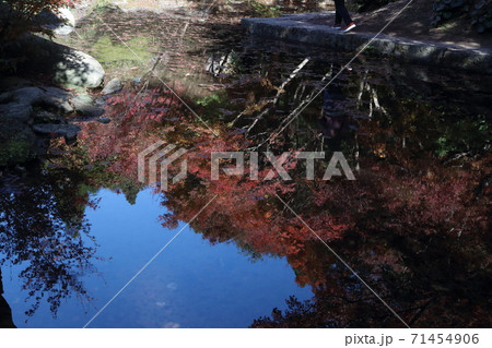 環境芸術の森 環境芸術の森 71454906