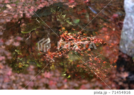 環境芸術の森 71454916