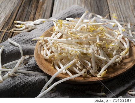 モヤシ モヤシ 71455197