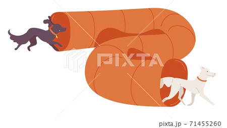 Dogs running through long orange tunnel. Training of service pets isolated on white Dogs running through long orange tunnel. Training of service pets isolated on white 71455260
